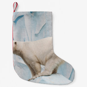 Calcetín Navideño Pequeño Oso Polar: Vistazo al Zoo Habitat