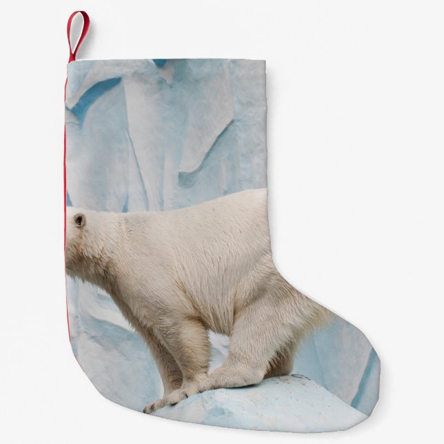 Calcetín Navideño Pequeño Oso Polar: Vistazo al Zoo Habitat (Anverso)
