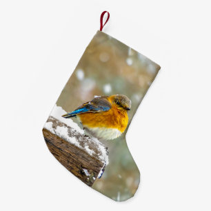 Calcetín Navideño Pequeño Pájaro azul oriental en nieve - Fotografía origina