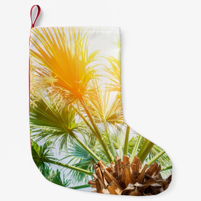 Calcetín Navideño Pequeño Palmera de palmera brillante fondo de verano. p tr (Anverso)