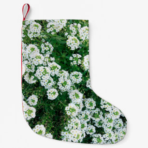 Calcetín Navideño Pequeño Pequeñas flores blancas en el césped durante el dí