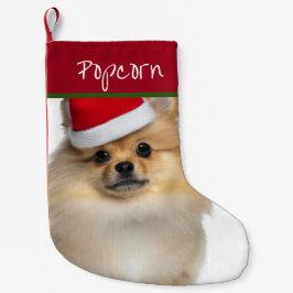 Calcetín Navideño Pequeño Pequeños Navidades de Santa Pomerania