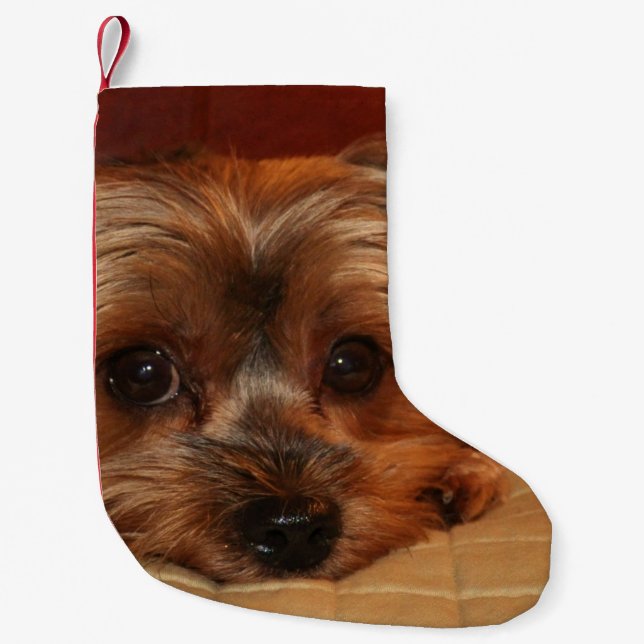Calcetín Navideño Pequeño Perrito lindo de Yorkshire Terrier (Anverso)