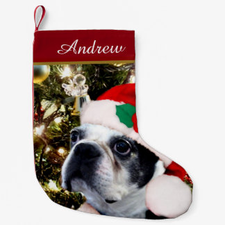 Calcetín Navideño Pequeño Perro de Boston Terrier del navidad