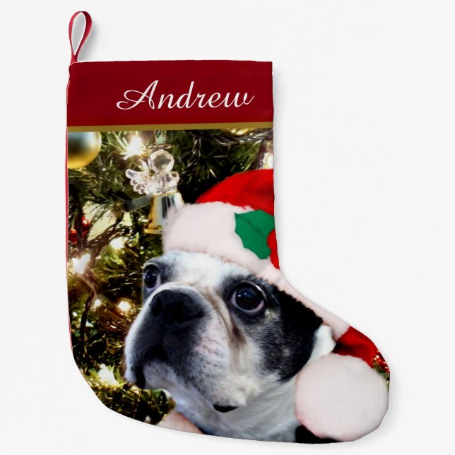 Calcetín Navideño Pequeño Perro de Boston Terrier del navidad (Anverso)