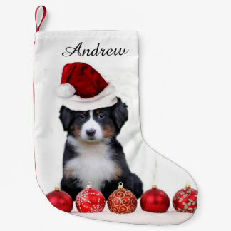 Calcetín Navideño Pequeño Perro de montaña de Bernese del navidad