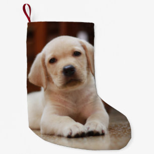 Calcetín Navideño Pequeño Perro de perrito amarillo de Labrador del bebé qu