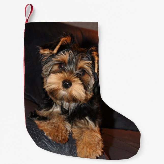 Calcetín Navideño Pequeño Perro de perrito lindo de Yorkshire Terrier Yorkie (Anverso)