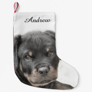 Calcetín Navideño Pequeño Perro de Rottweiler