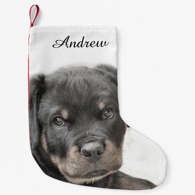 Calcetín Navideño Pequeño Perro de Rottweiler (Anverso)