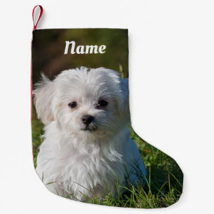 Calcetín Navideño Pequeño Perro picante maltés blanco, mullido