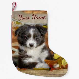 Calcetín Navideño Pequeño Perro pupito bicolor pequeño australiano -