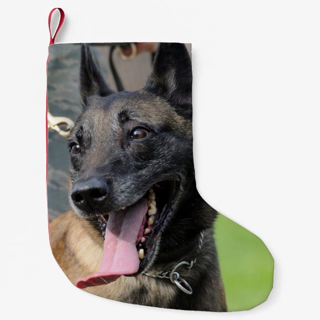 Calcetín Navideño Pequeño Perro sonriente de Malinois del belga (Anverso)