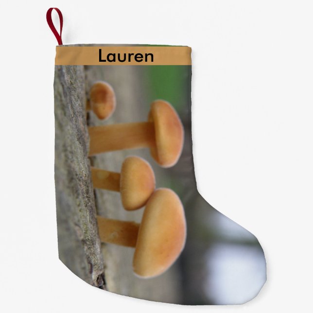 Calcetín Navideño Pequeño Personalizado de macros de toadstoides pequeños (Anverso)