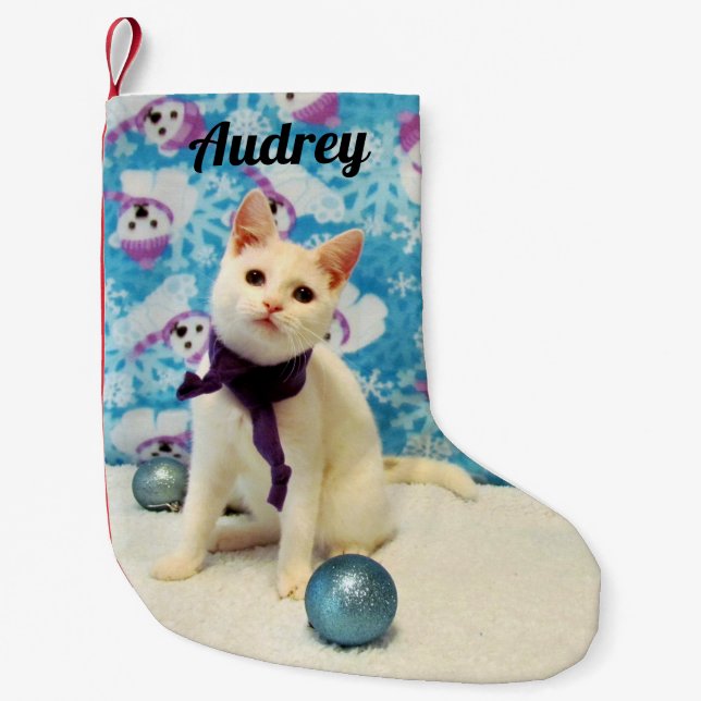 Calcetín Navideño Pequeño Personalizado - Los Navidades de Audrey se levanta (Anverso)