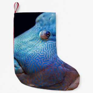 Calcetín Navideño Pequeño Pescado azul