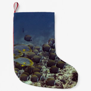 Calcetín Navideño Pequeño Pescado en la barrera de coral en el fondo del océ