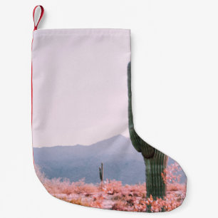 CALCETÍN NAVIDEÑO PEQUEÑO PLANTA DE CACTUS JUNTO A LA PLANTA DE LIBERACIÓN D