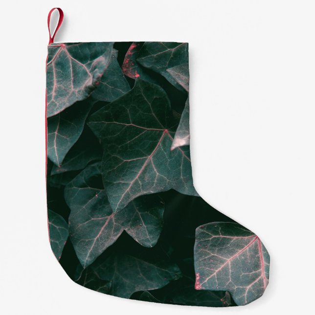CALCETÍN NAVIDEÑO PEQUEÑO PLANTA DE PLOMO VERDE (Anverso)