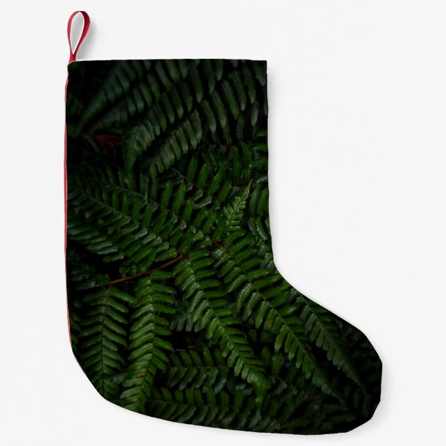 Calcetín Navideño Pequeño Planta Fern (Anverso)