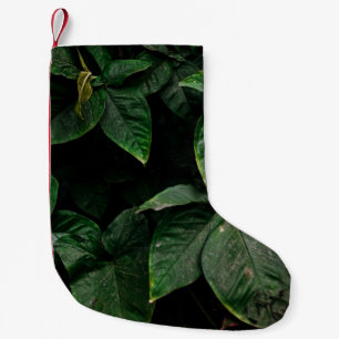 CALCETÍN NAVIDEÑO PEQUEÑO PLANTA VERDE EN FOTOGRAFÍA CENTRAL