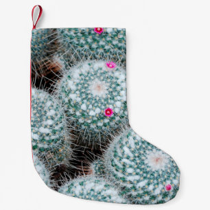 Calcetín Navideño Pequeño Plantas de cactus con flores rosadas muy pequeñas