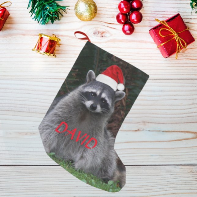 Calcetín Navideño Pequeño Raccoon con el nombre de Red Santa Hat (In Situ)