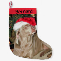 Rain Cute Weimaraner Dog - Personalizado