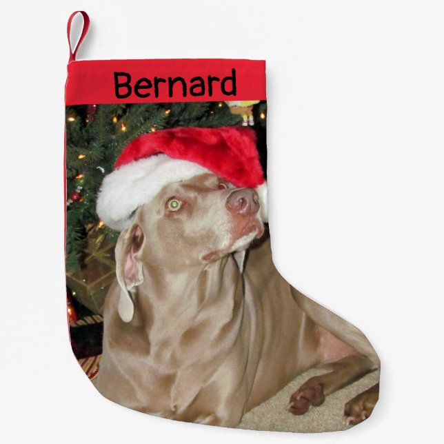 Calcetín Navideño Pequeño Rain Cute Weimaraner Dog - Personalizado (Anverso)