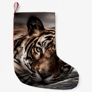 Calcetín Navideño Pequeño ranthambore macho salvaje tigre retrato de imagen 