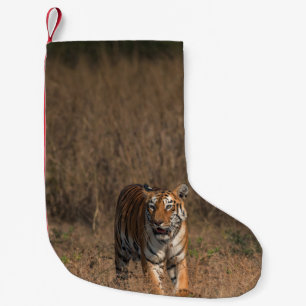 CALCETÍN NAVIDEÑO PEQUEÑO RETRATO DE TIGRE