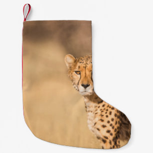 CALCETÍN NAVIDEÑO PEQUEÑO RETRATO LEOPARD