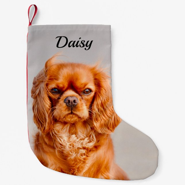 Calcetín Navideño Pequeño Ruby Cavalier King Charles Spaniel Dog (Anverso)