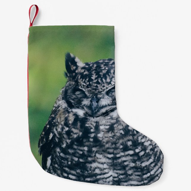 CALCETÍN NAVIDEÑO PEQUEÑO SALVAJE EN BOSQUE FRANCÉS (Anverso)