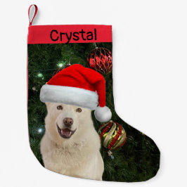 Calcetín Navideño Pequeño Santa Paws - Crystal the Husky Dog Personalizado