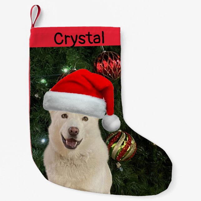 Calcetín Navideño Pequeño Santa Paws - Crystal the Husky Dog Personalizado (Anverso)