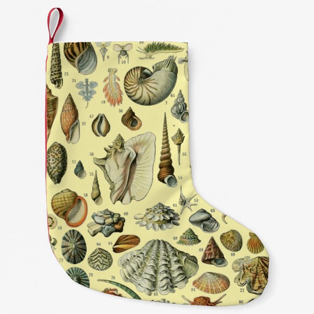 Calcetín Navideño Pequeño Shell de conchas marinas Mollusk Clam Elegante Art (Anverso)