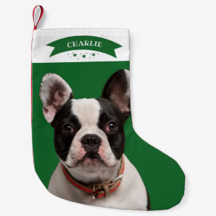 Calcetín Navideño Pequeño Simple Foto de Mascota Perro Personalizado Lindo