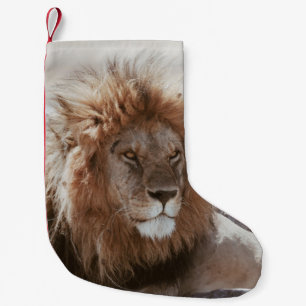 CALCETÍN NAVIDEÑO PEQUEÑO SR. LION