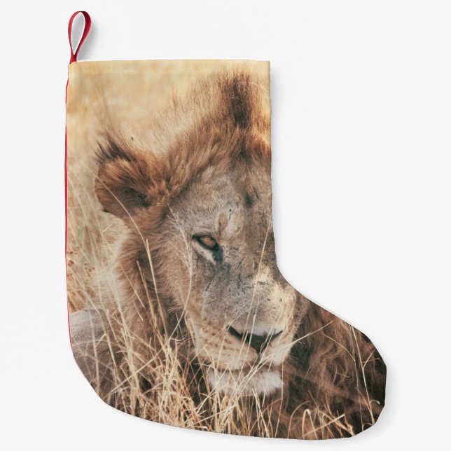CALCETÍN NAVIDEÑO PEQUEÑO SR. LION KING (Anverso)