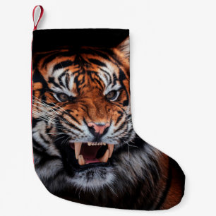Calcetín Navideño Pequeño Tigre de Sumatra (Panthera tigris sumatrae)