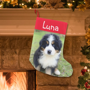Calcetín Navideño Pequeño Un regalo para los amantes de Berner