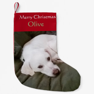 Calcetín Navideño Pequeño White Lab Mix Dog Cute