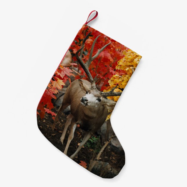 Calcetín Navideño Pequeño Whitetail En Otoño (Frente (Colgado))