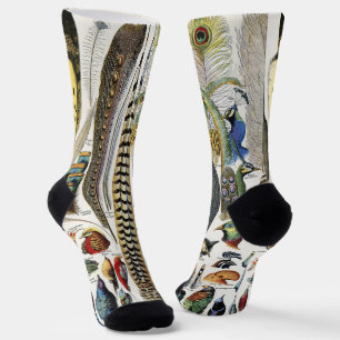 CALCETINES