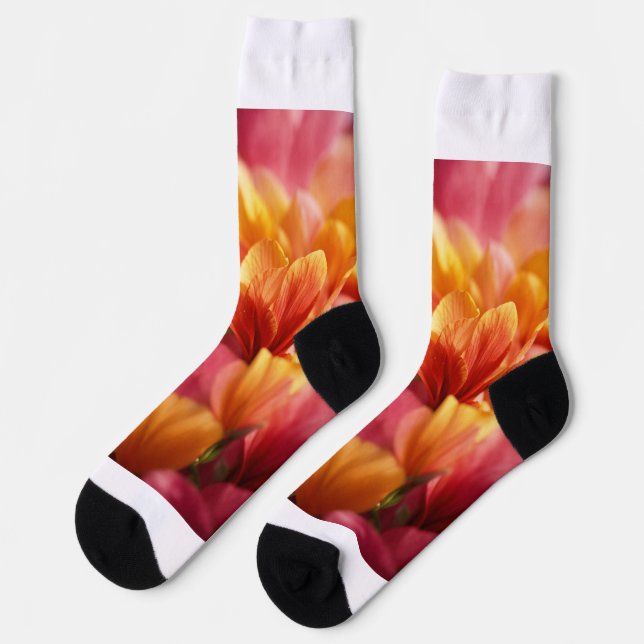 Calcetines (Izquierda)