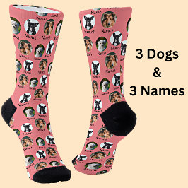 Calcetines 3 perros y nombres Mascotas personalizados fotos e
