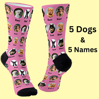Calcetines 5 perros, 5 nombres, foto de perro - rosa personal