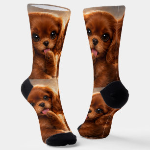 Calcetines Adorable Ruby Cavalier Spaniel