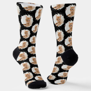 Calcetines Amantes de Gatos Divertidos Patrón de Foto Persona
